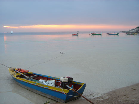 Thai Beach