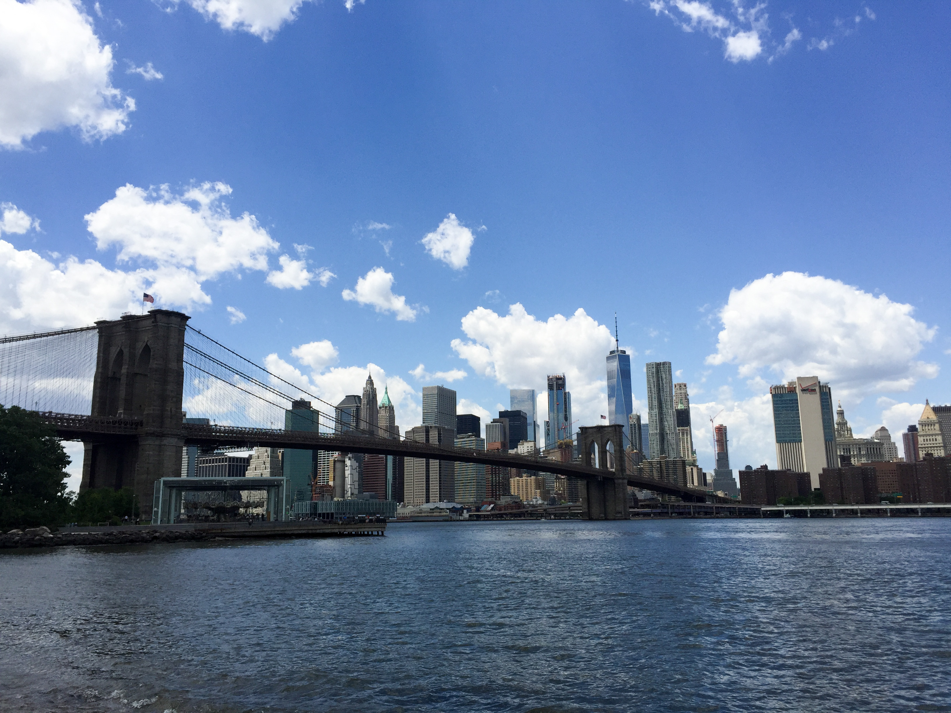 New York Sky Line